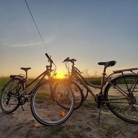 Lexi Jakuzzis Apartman *